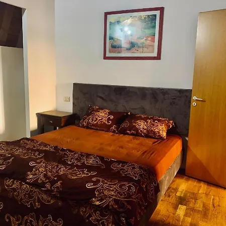 Apartament Rustic Deosebit דירה בוקרשט