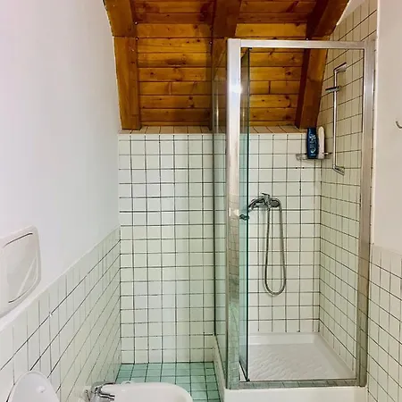 Apartament Rustic Deosebit *