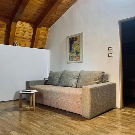 Apartament Rustic Deosebit דירה בוקרשט