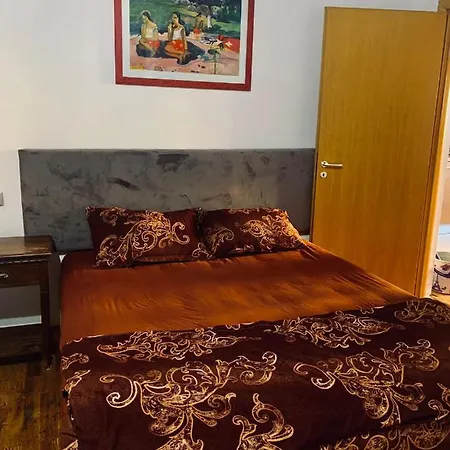 Apartament Rustic Deosebit דירה